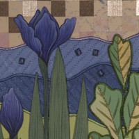 May Iris
